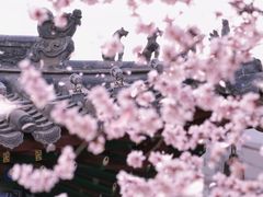 -迎泽公园