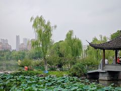 -武汉园博园(武汉自然博物馆)