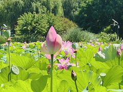 -云居湖