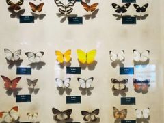 -陕西自然博物馆