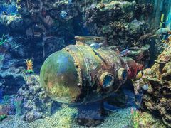 -上海海昌海洋公园