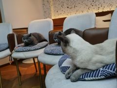 -Line 咖啡(石厦花园店)