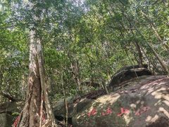 -七仙岭温泉国家森林公园