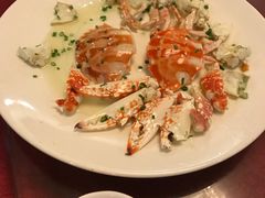 -新锦鸿(演达店)