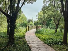 -同里国家湿地公园