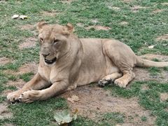 -北京野生动物园