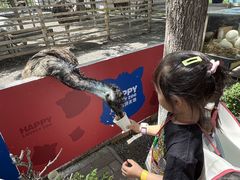 -水上乐园·欢乐世界