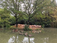 -上海野生动物园