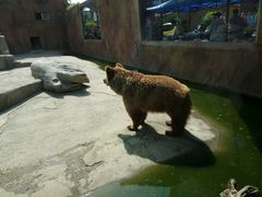 -临沂动植物园