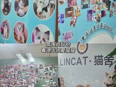 -lincat·猫舍(广州店)