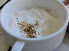 -Sultan pakistan苏单巴基斯坦