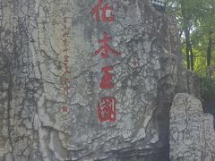 -本溪水洞
