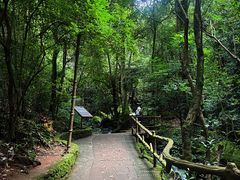 -昆明青龙峡风景区