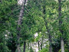 -人民公园(罗湖区)