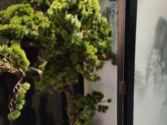 -上足·影院足道·SPA(红岭店)