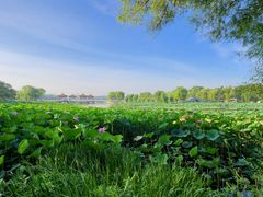 -长春市南湖公园