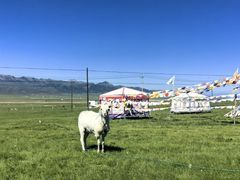 -扁都口生态休闲旅游区