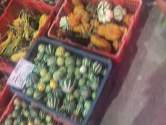 -中环花鸟鱼虫市场