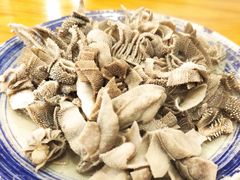 羊散丹-金生隆(六铺炕店)