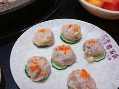 -潘小辣鲜肉老火锅
