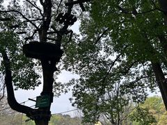 -WeLope紫金山探险公园