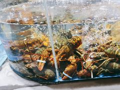 -徐记海鲜·宴会(大唐西市|丰庆店)