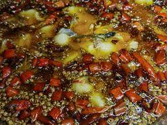 -雲蜀龙阁·金牌水煮鱼(方庄店)