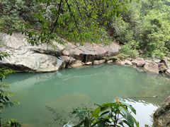 -广州白江湖森林公园