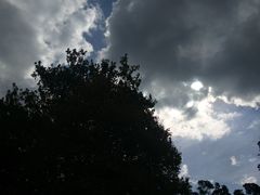 -悉尼海港大桥