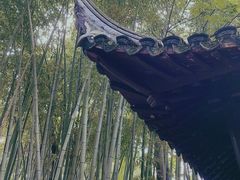-秋霞圃