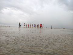-大鹿岛