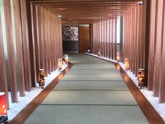 -重庆南山海昌汤都