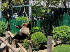 -大连森林动物园