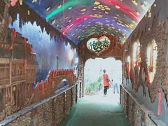 -呀路古热带植物园