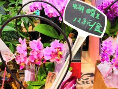 -豆豆花艺(新光天地店)