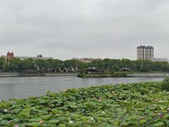 -葛仙湖公园