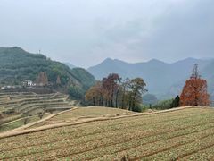 -江南天池