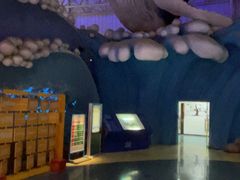 -烟台海昌鲸鲨海洋公园