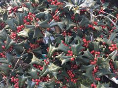 -陶祖圣境风景区