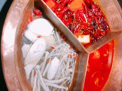 -锅说大脸毛肚重庆老火锅(佐阾店)