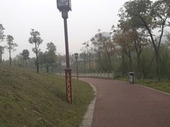 -眉山湿地公园(东坡区)