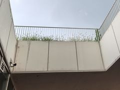 -天津自然博物馆