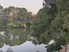 -张鸟园农家乐(张鸟园店)