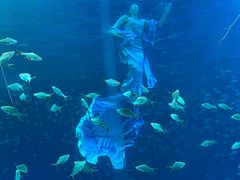 -合肥海洋世界