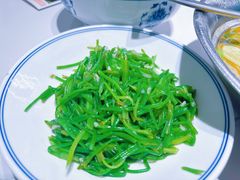 素炒水性杨花-滇铺子·云南特色菜·第九届野生菌美食节(东风东路c86店)
