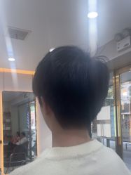 -YESIDO椰岛造型