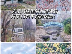 -新虹桥中心花园