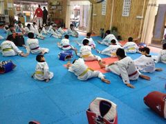 -金翼跆拳道巴西柔术拳击格斗学院