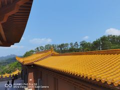 -深圳仙湖植物园