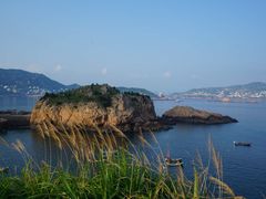 -枸杞岛